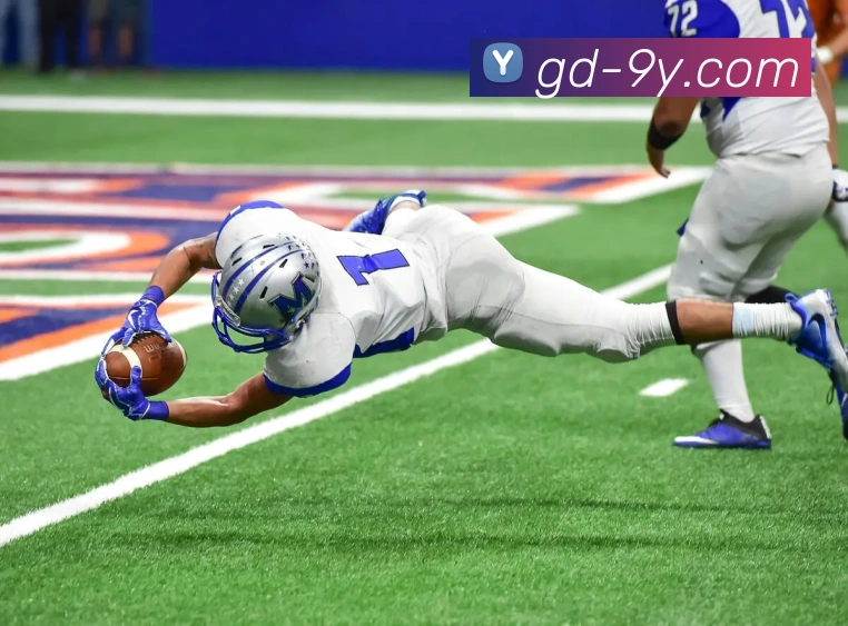 九游官网平台生态图