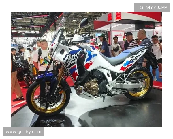 全面深入探讨贵州足球赛事是否收取门票费用及其多方面影响分析探