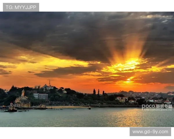 回望经典足球赛场那些定格永恒瞬间的摄影艺术深度探索之旅魅力绘卷