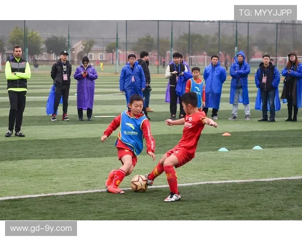 围绕芒市足球青训机构构建西南地区青少年球员成长发展新模式创新路径